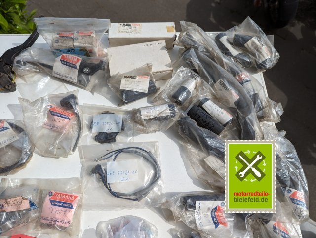 PXL_20240528_142330126